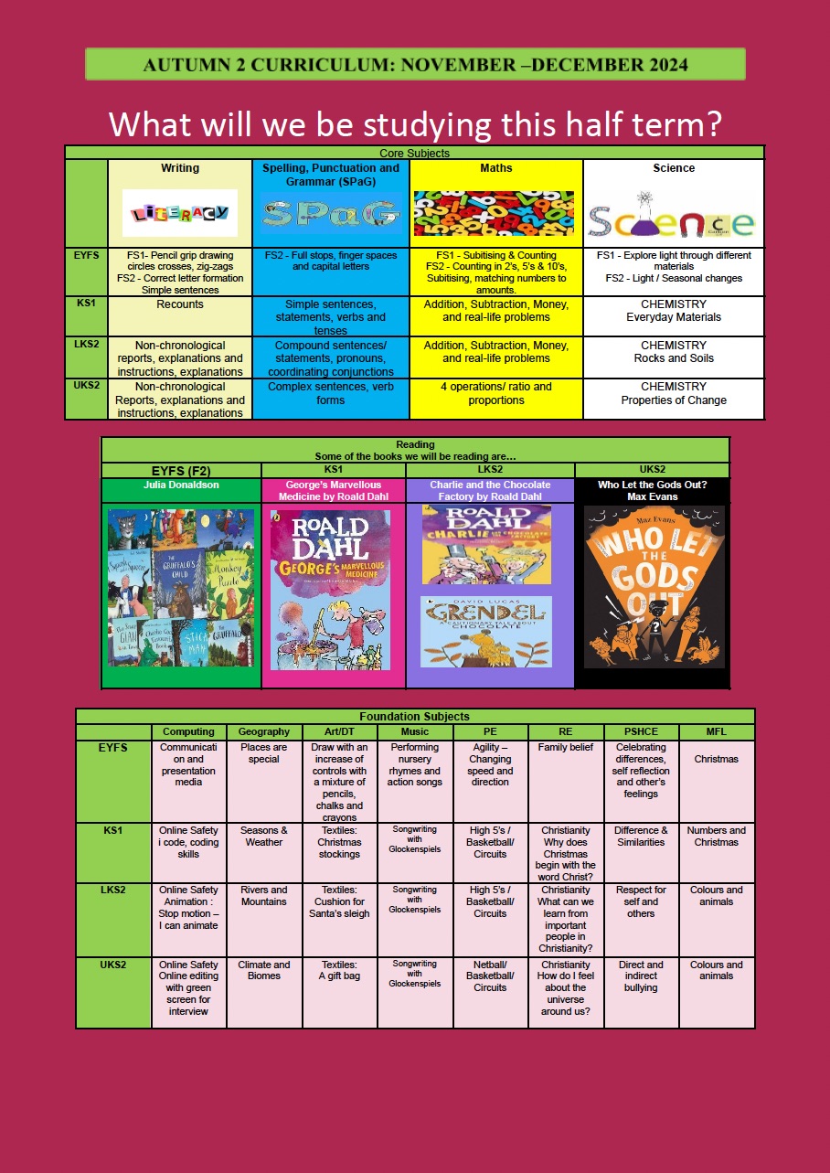 Nov_Dec_24_What_will_we_be_studying_this_half_term__docx